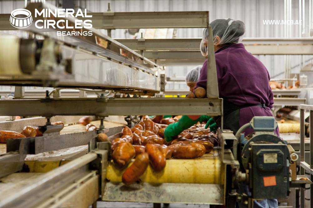 NTN SNR’s Food Al Grease to optimize food production industry